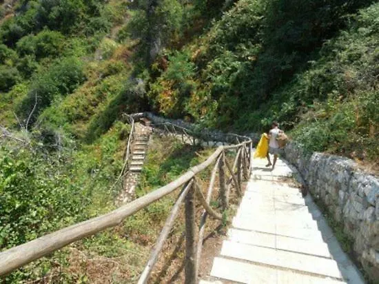 公寓 Casa Paradiso 帕尔米